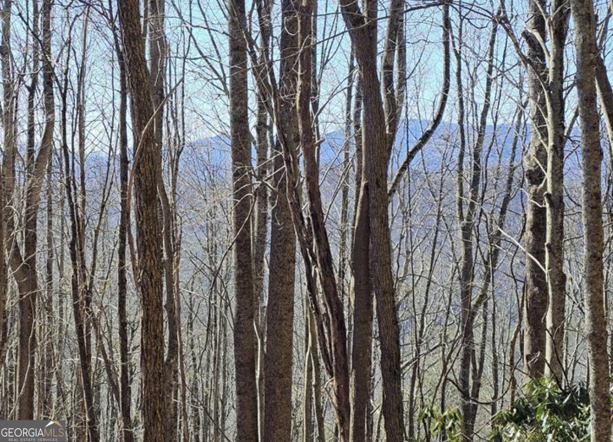 0 Highland Gap Road Scaly Mountain, NC 28775 - Photo 9 of 10