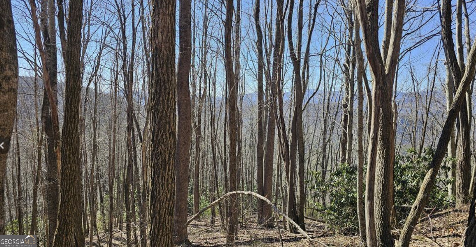 0 Highland Gap Road Scaly Mountain, NC 28775 - Photo 10 of 10