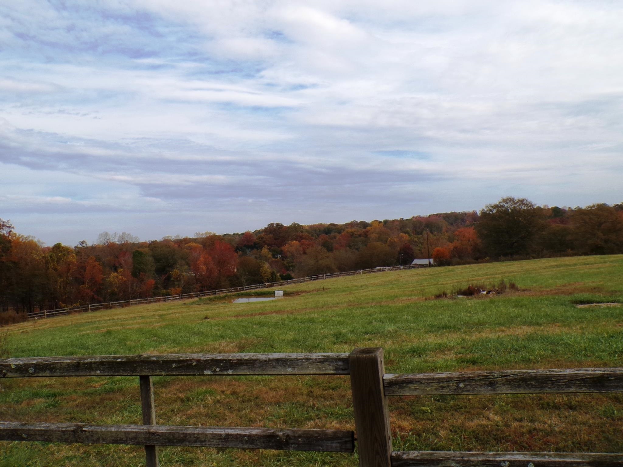 850 Springdale Road Cowpens, SC 29330 - Photo 20 of 50