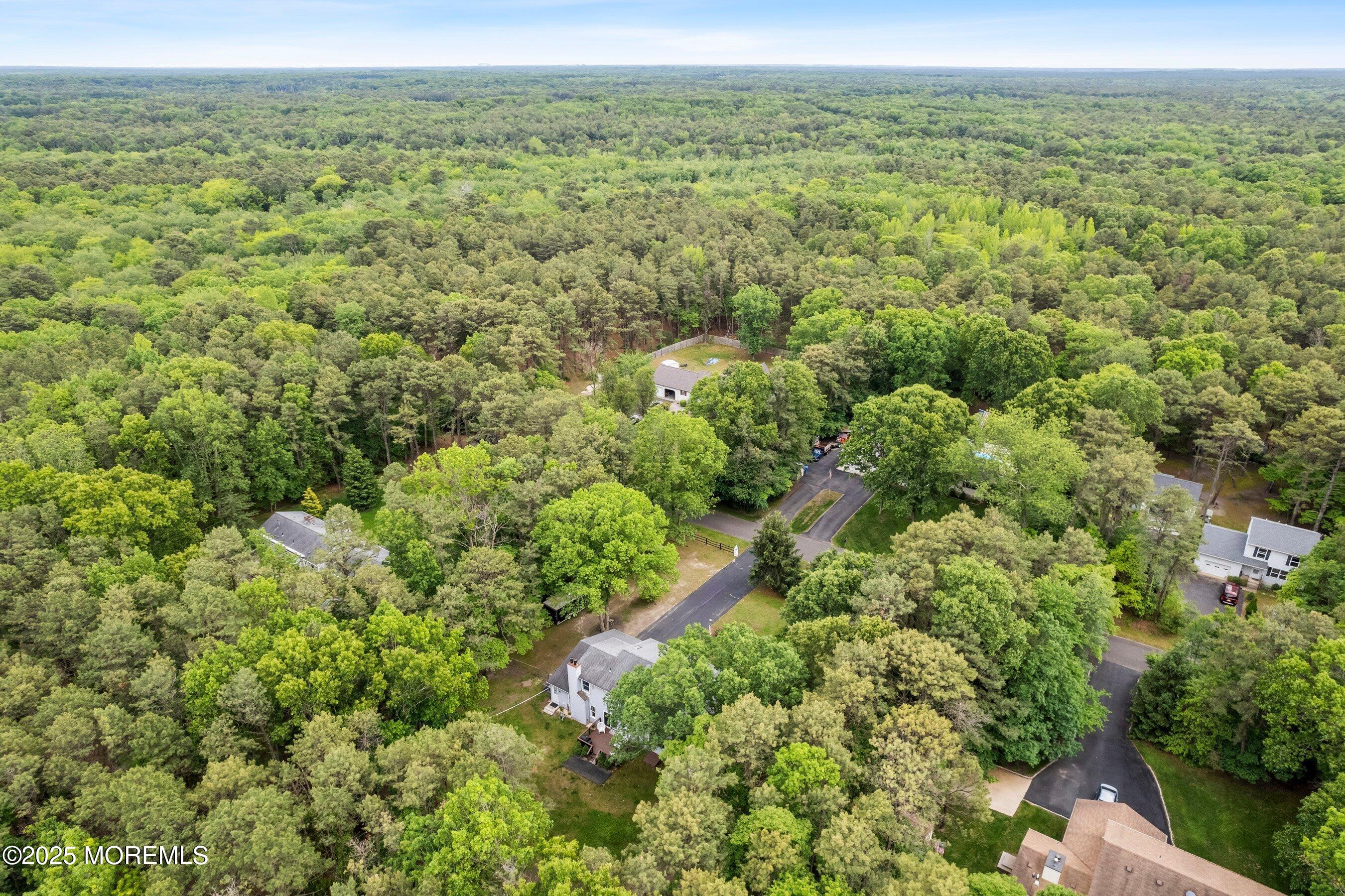 112 Richter Road Jackson, NJ 08527 - Photo 44 of 45 Rear Aerial (1)