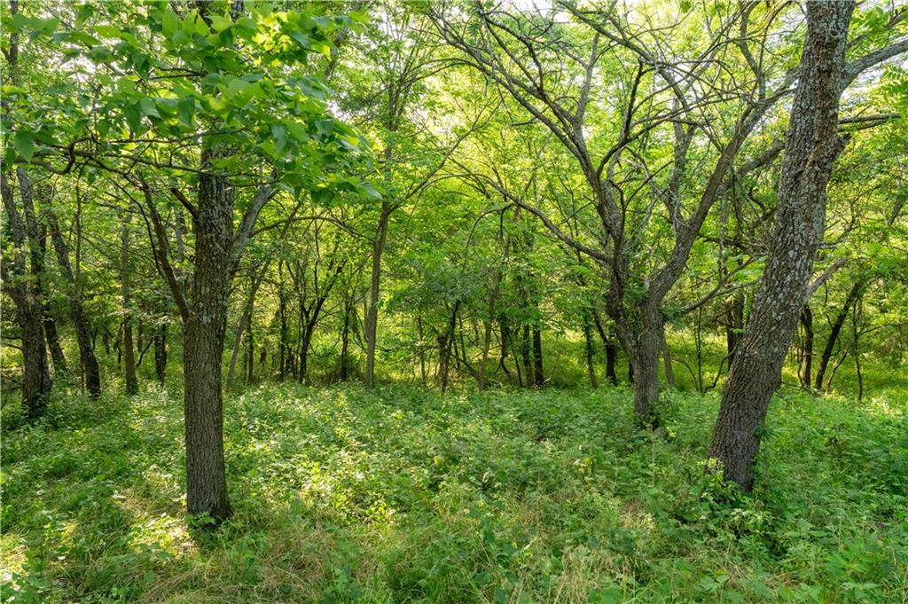 134 Haskell Road Pomona, KS 66076 - Photo 14 of 38
