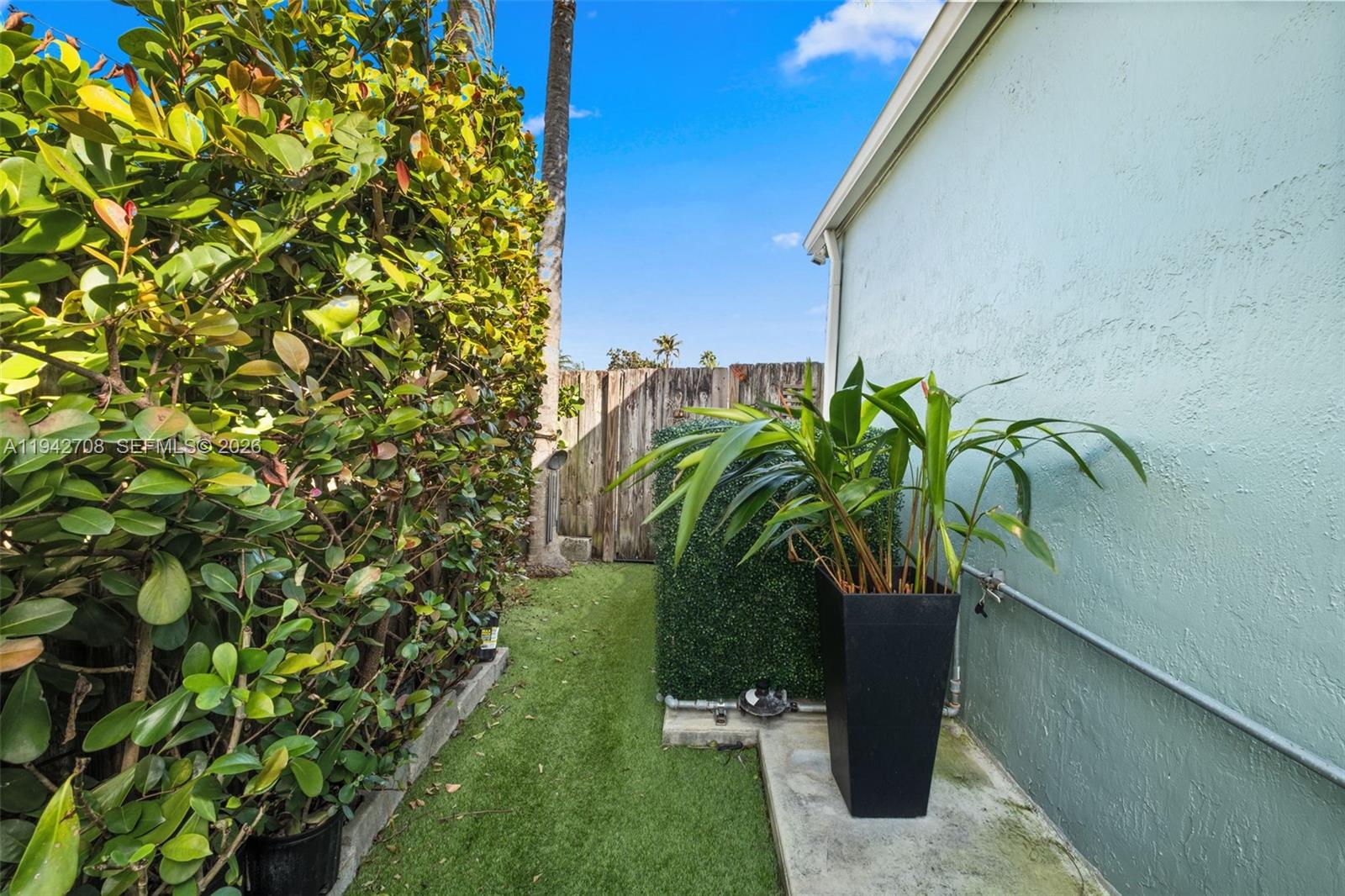 22239 Southwest 98th Place Cutler Bay, FL 33190 - Photo 28 of 67 a close up of a plant in a garden