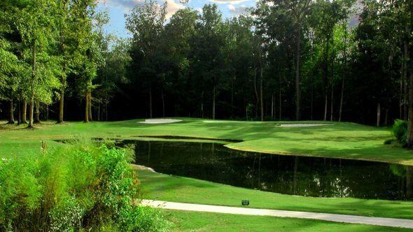 24 Rudwick Circle Goose Creek, SC 29445 - Photo 15 of 18 golf