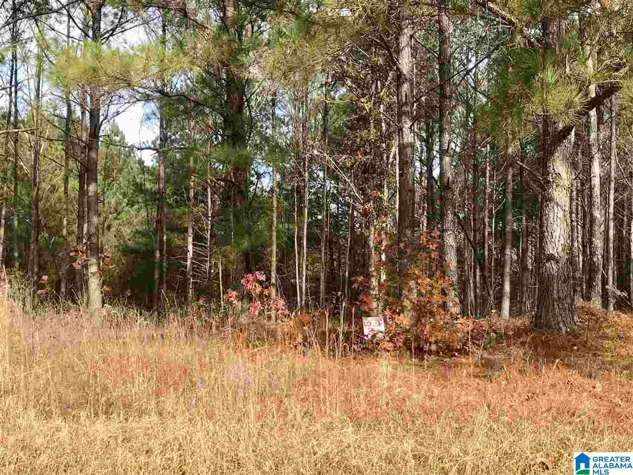 0 Bradford Place, Unit 31 Decatur, AL 35603 - Photo 2 of 4