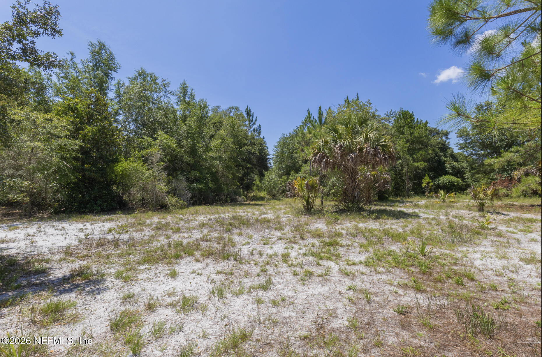133 Landvale Street Georgetown, FL 32139 - Photo 1 of 8 Frontage