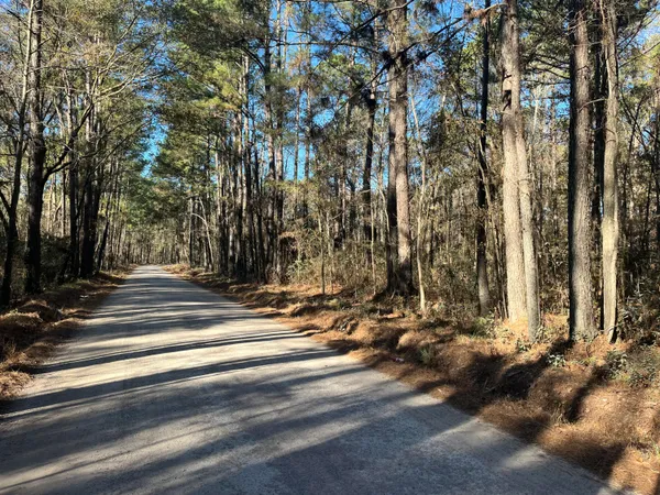 $40,000 | 0 Brittlebank Road, Walterboro, SC 29488