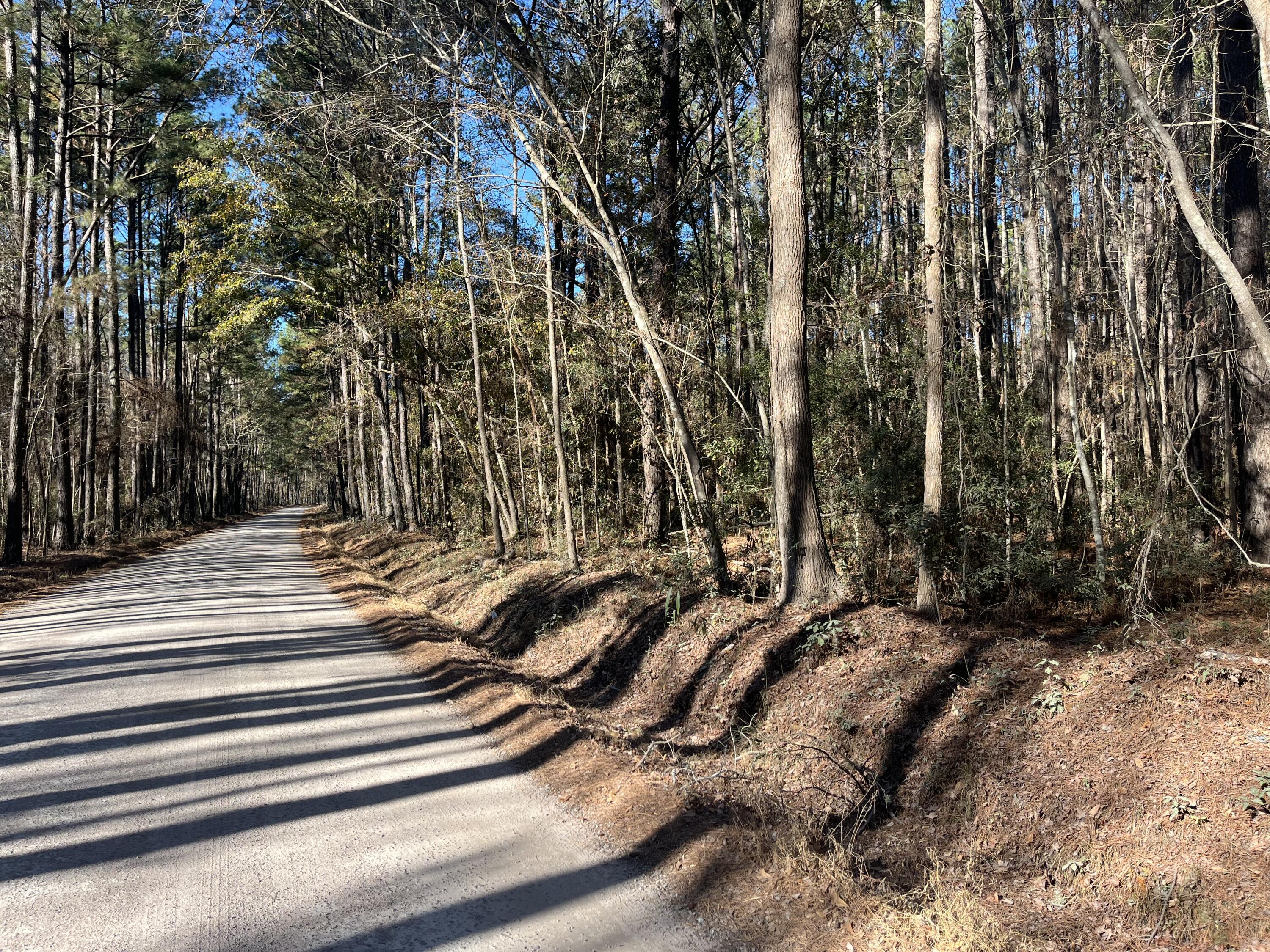 0 Brittlebank Road Walterboro, SC 29488 - Photo 7 of 9 IMG_4651