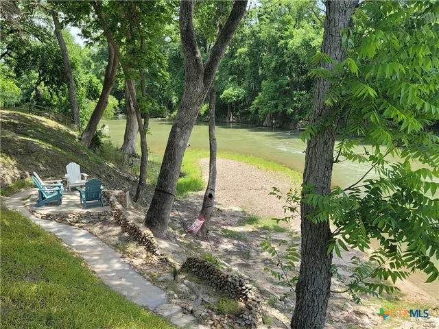 a view of a tree in a yard