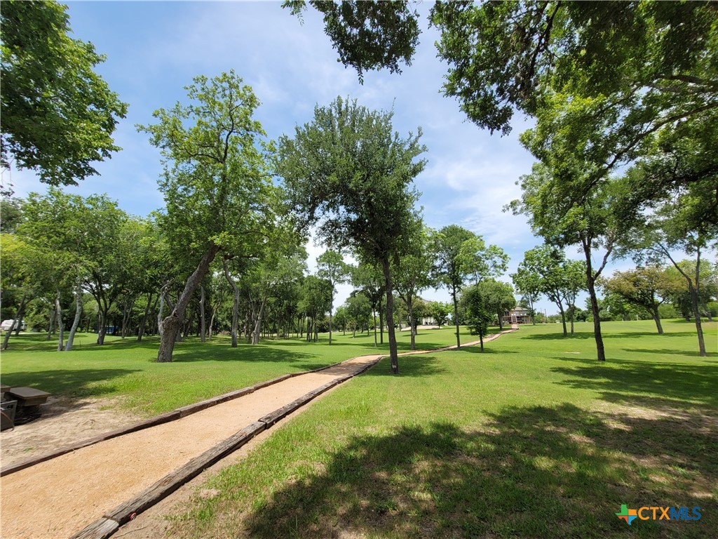 582 Cypress Valley Road Cuero, TX 77954 - Photo 7 of 36 a view of a park with tree s