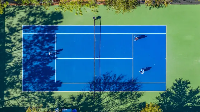 a view of a back yard