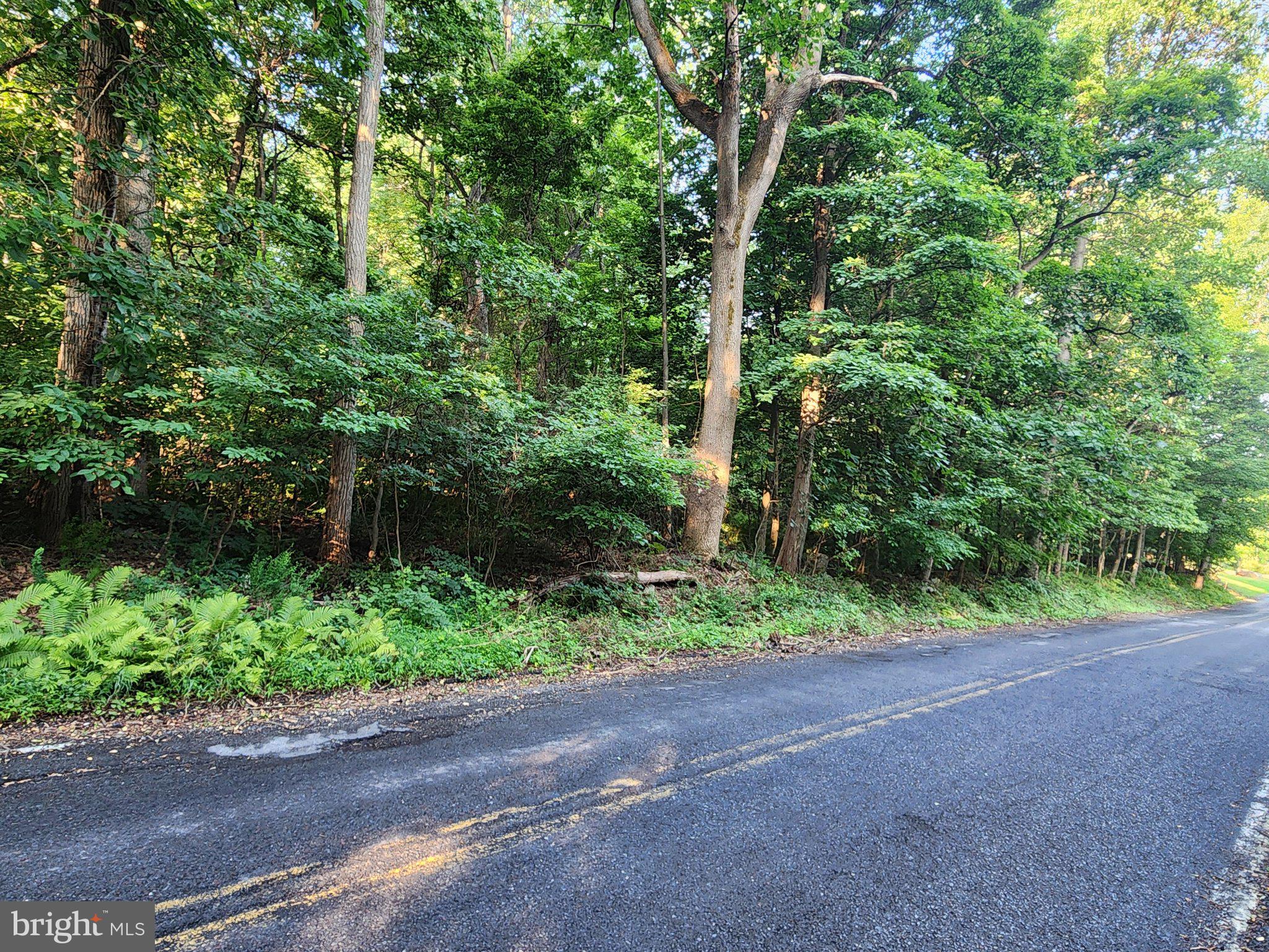 44 Wetzel Road Macungie, PA 18062 - Photo 3 of 5 Serene roadside forest escape.