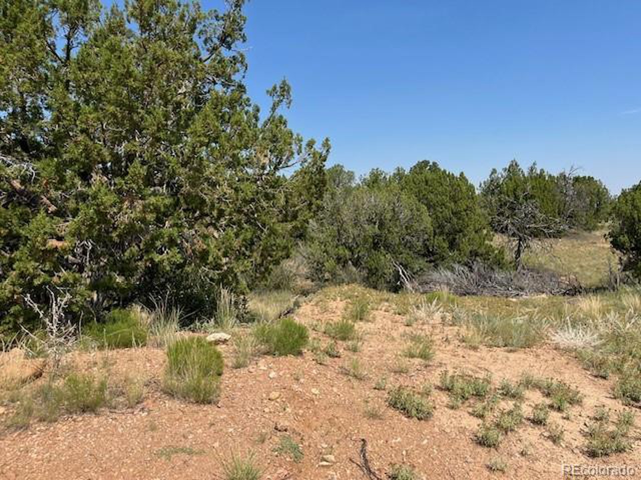8 Newlin Ridge Road Florence, CO 81226 - Photo 23 of 25 View