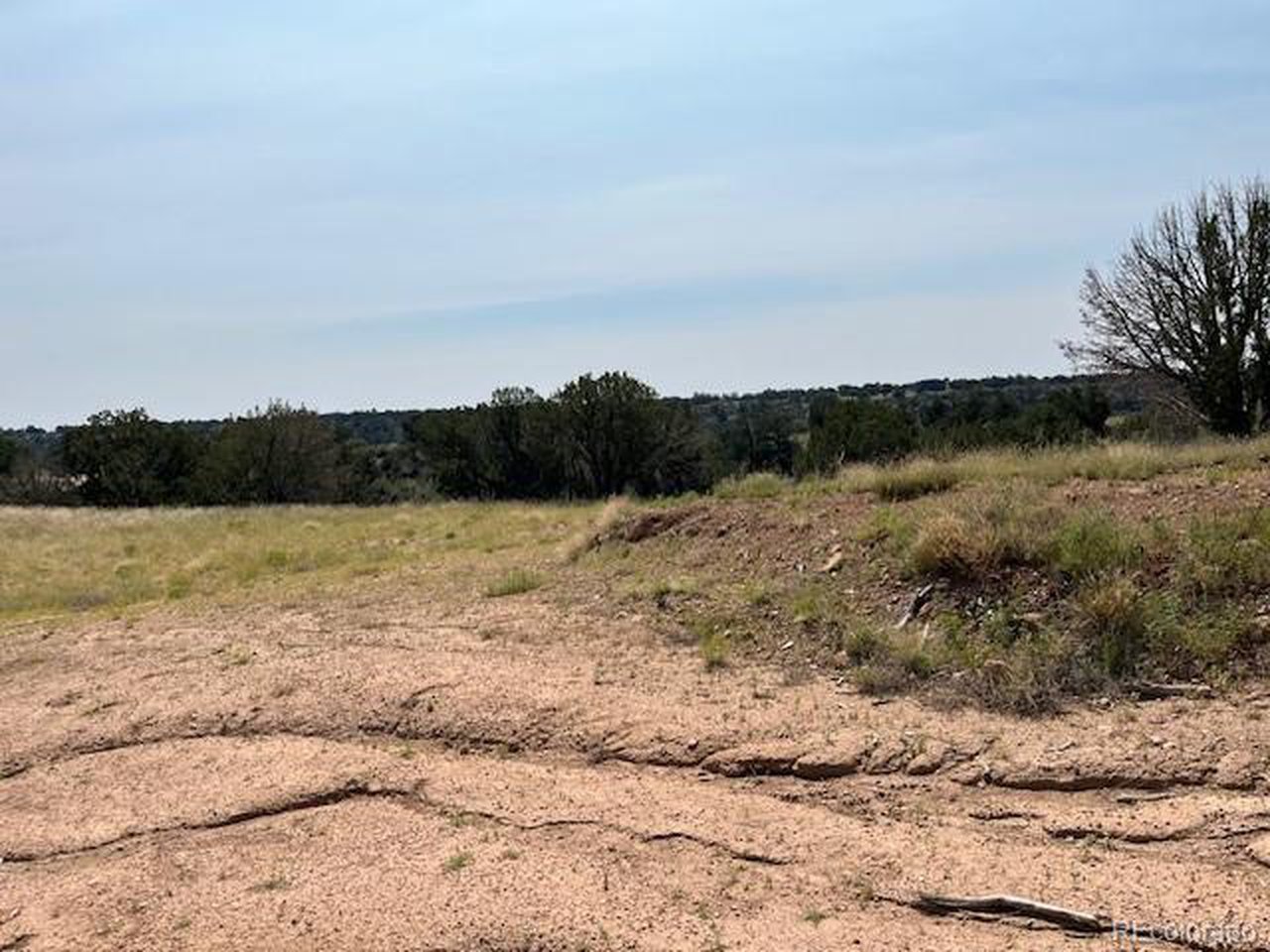 8 Newlin Ridge Road Florence, CO 81226 - Photo 24 of 25 Cleared Building Spot South End