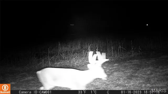 $1 | 17053 Siloam Avenue, Mendon, MO 64660