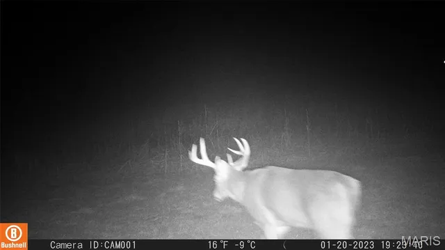 $1 | 17053 Siloam Avenue, Mendon, MO 64660