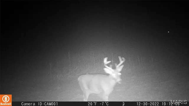 $1 | 17053 Siloam Avenue, Mendon, MO 64660