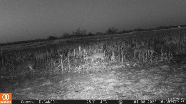 $1 | 17053 Siloam Avenue, Mendon, MO 64660