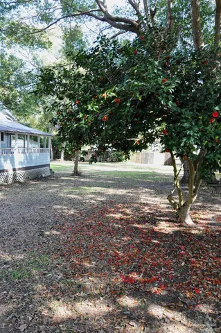 a view of a small house