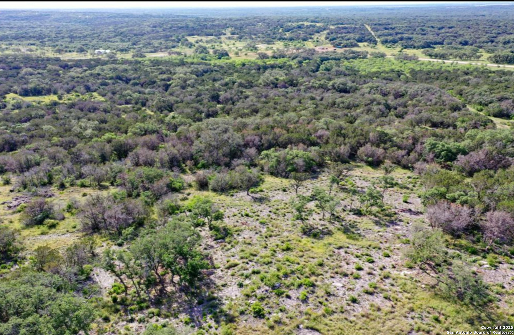 194 Crescent Ridge Hondo, TX 78861 - Photo 4 of 6 an aerial view of residential houses with outdoor space and trees