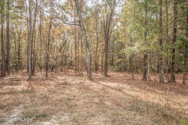 a view of empty room with trees