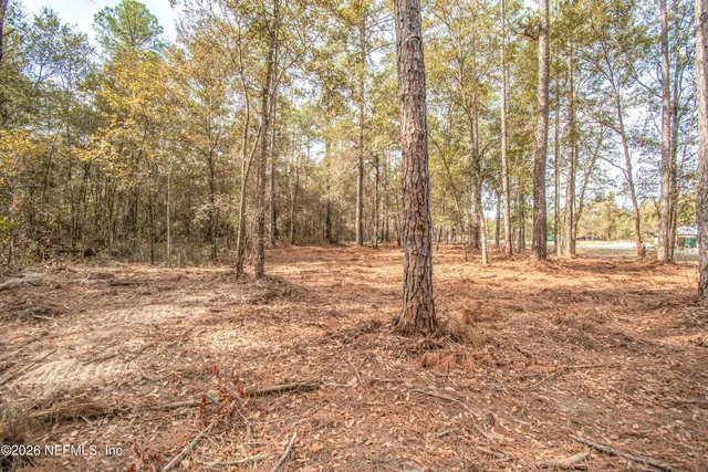 a view of yard with trees