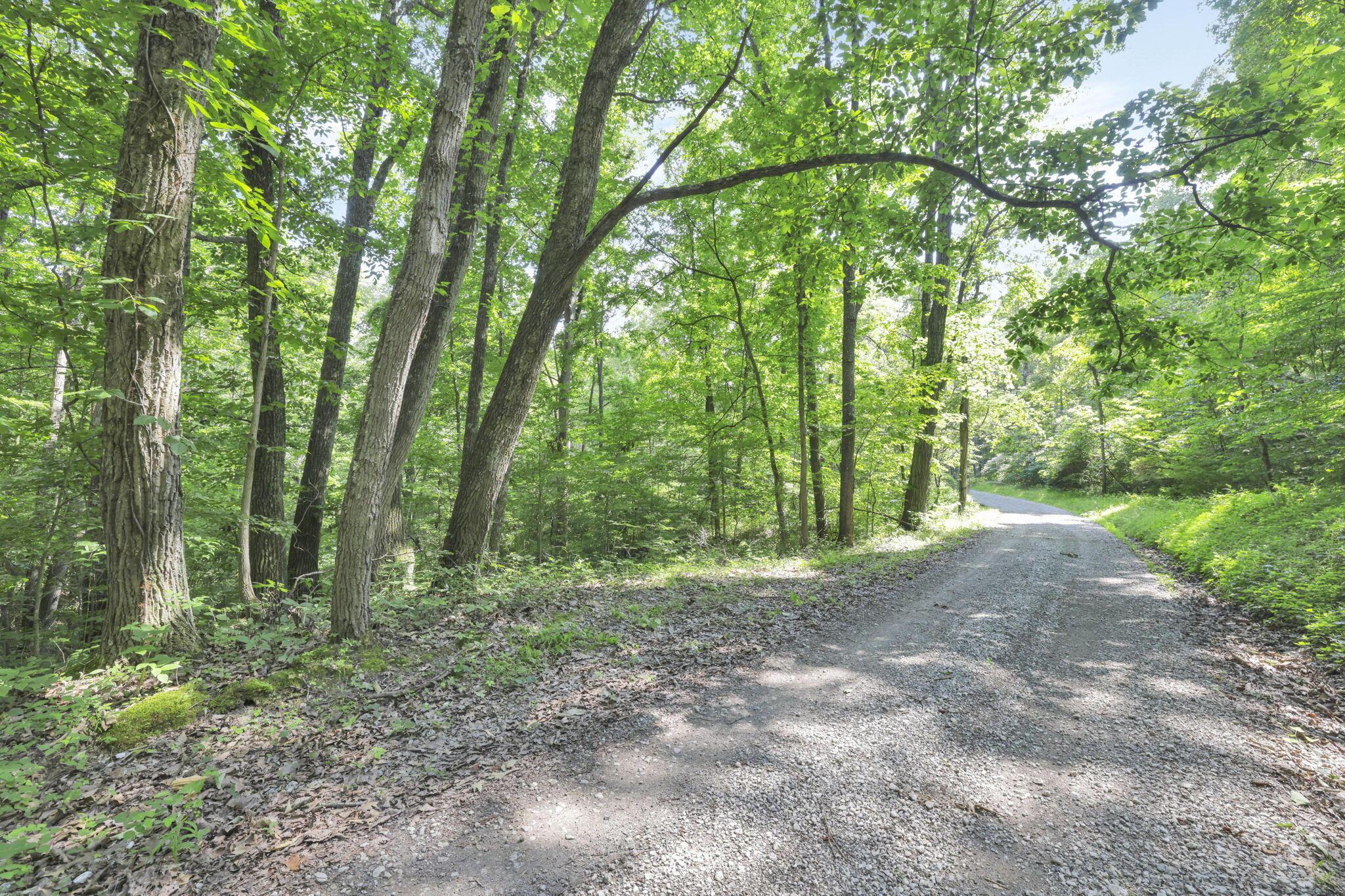 0 Thad Hall Road Laurelville, OH 43135 - Photo 2 of 28 27-web-or-mls-GR7A6872
