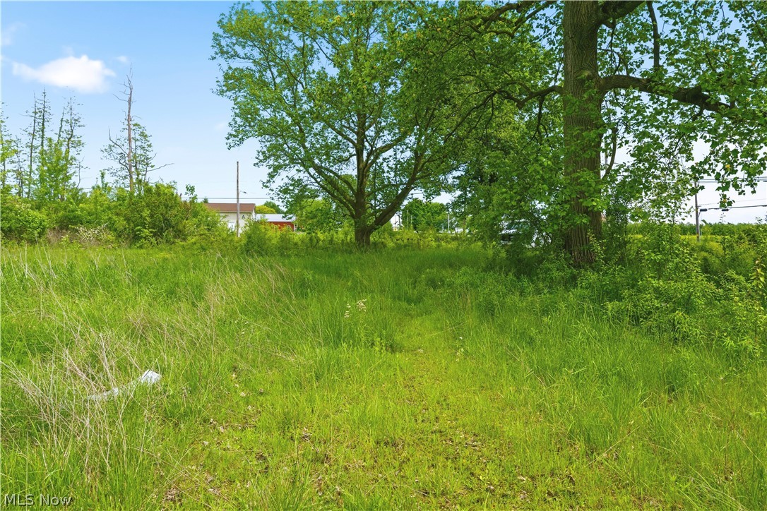 3133 Greenwich Road Wadsworth, OH 44281 - Photo 7 of 8