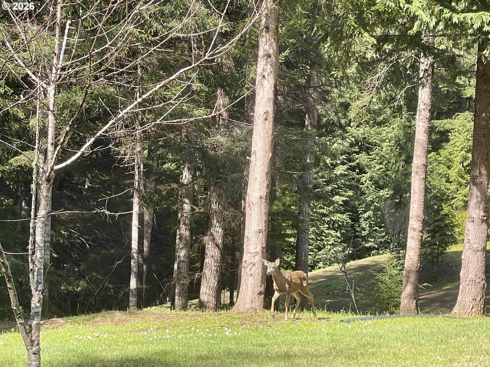 58813 Garden Valley Road Coquille, OR 97423 - Photo 35 of 48