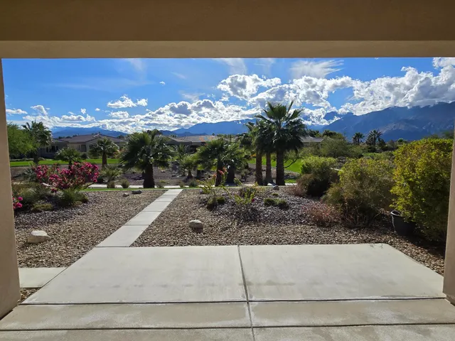 a view of a flower in a yard