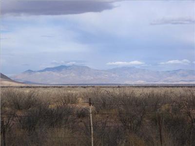 36 Acres Off Birch Road Cochise, AZ 85606 - Photo 2 of 4 Gallery Image 2