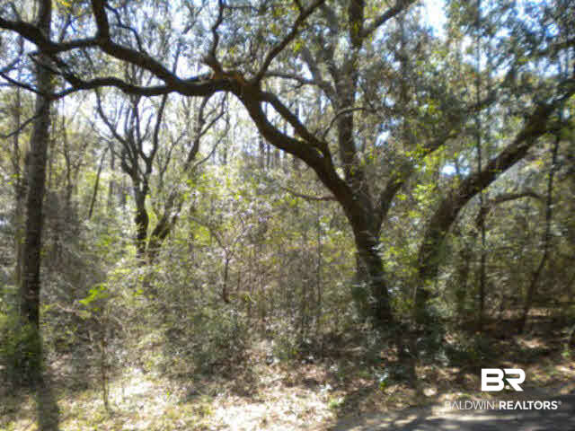9 Echo Lane Fairhope, AL 36532 - Photo 1 of 1