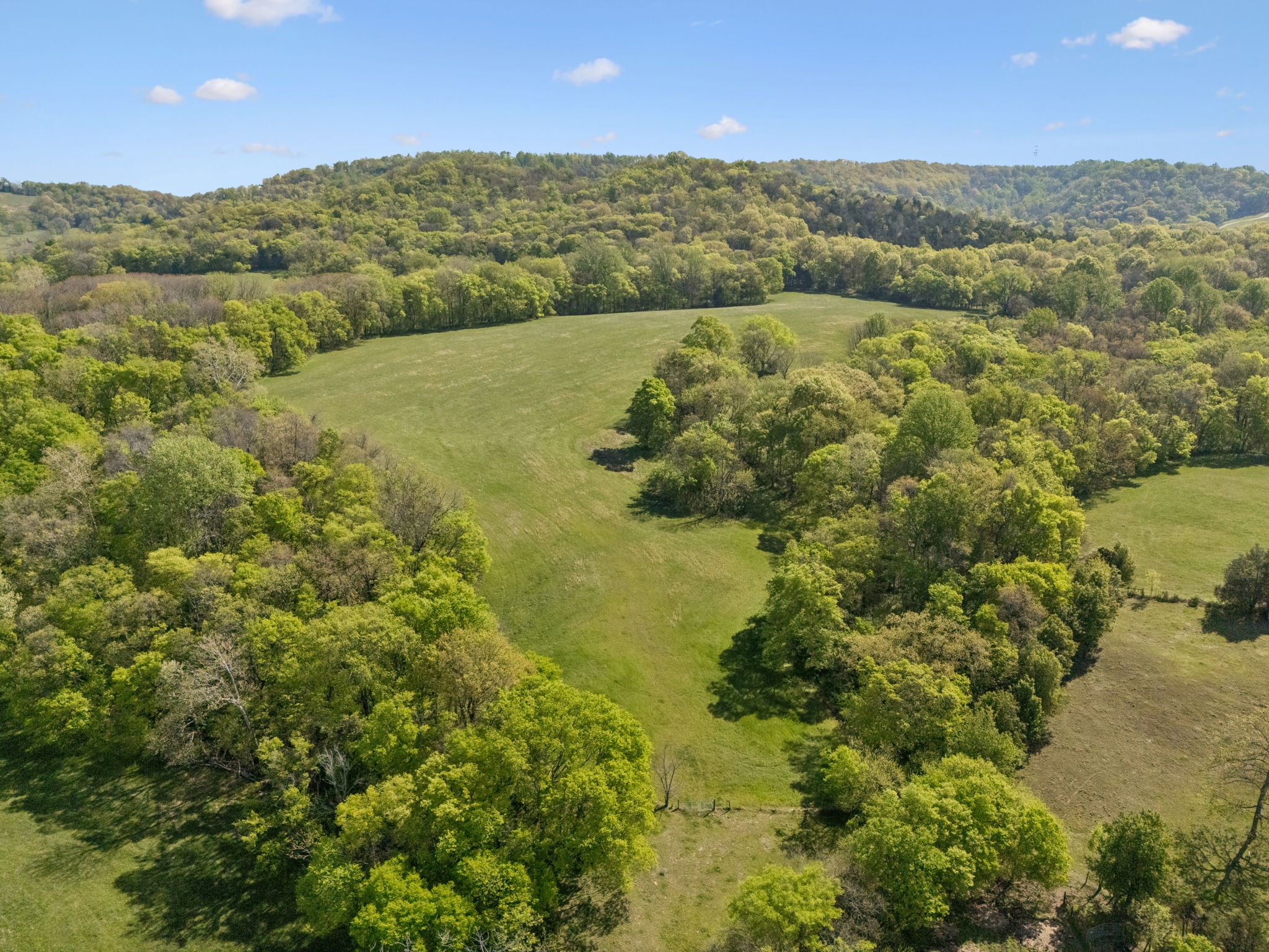 6666 Cross Keys Road College Grove, TN 37046 - Photo 17 of 24