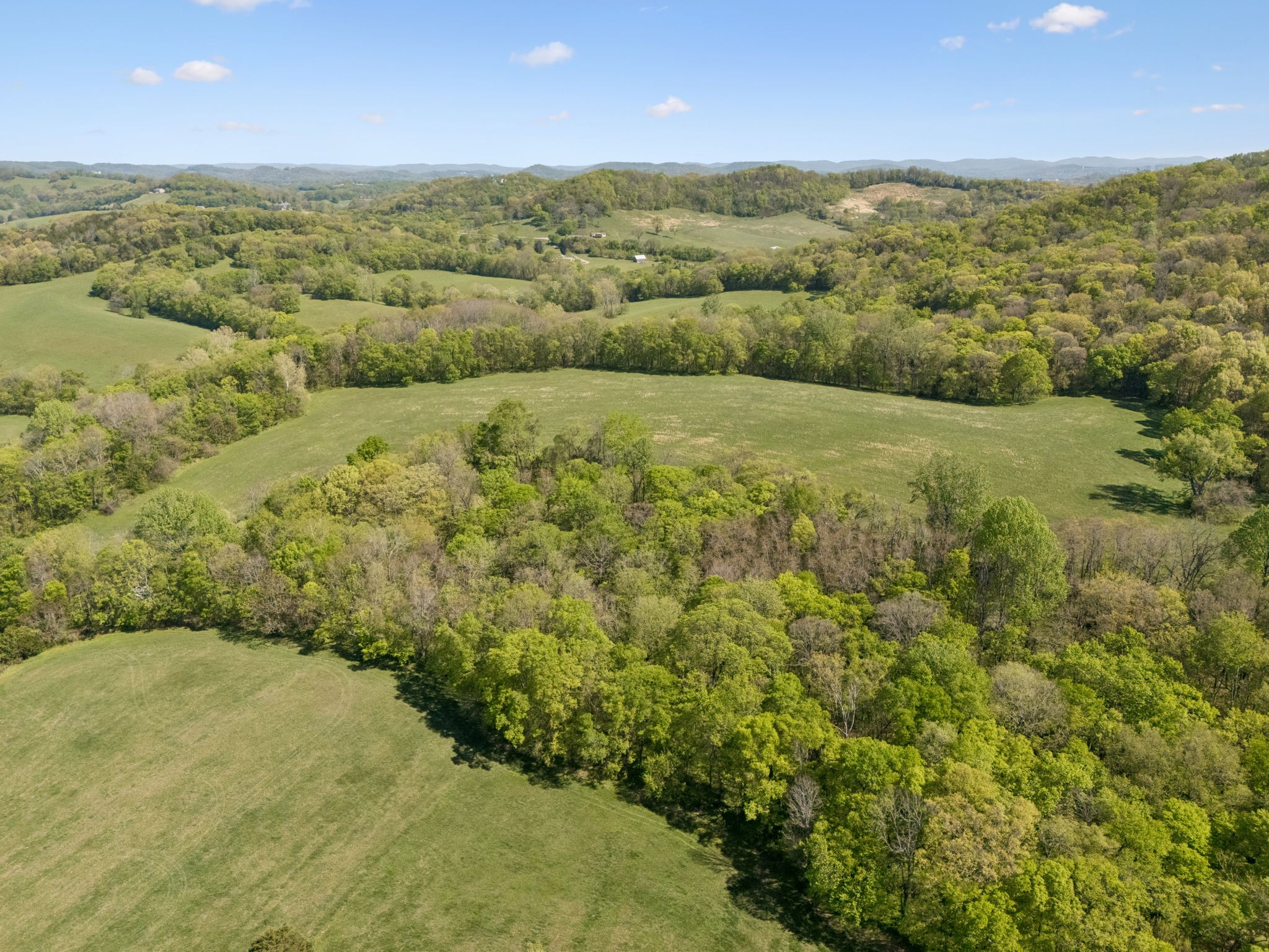 6666 Cross Keys Road College Grove, TN 37046 - Photo 21 of 24