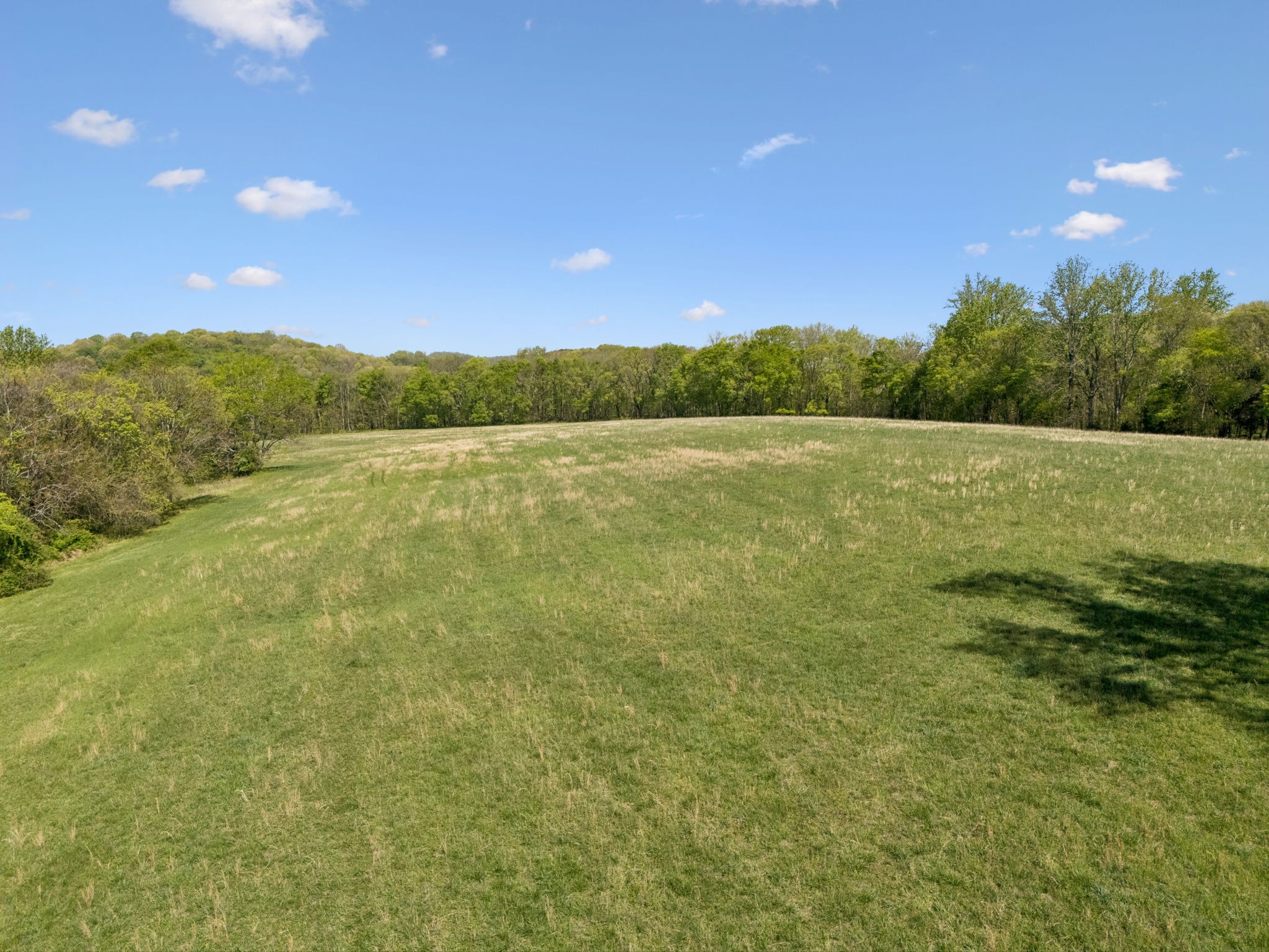 6666 Cross Keys Road College Grove, TN 37046 - Photo 22 of 24