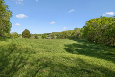 a view of a field with an trees