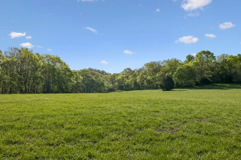 a view of a field of grass and trees