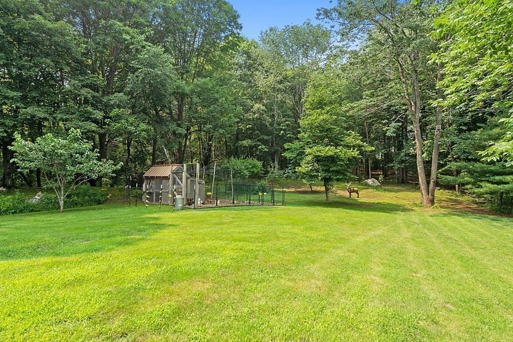 454 Loring Road Barre, MA 01005 - Photo 27 of 42 a view of a trees in a yard