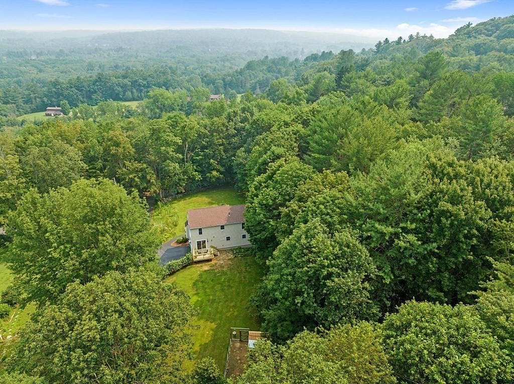454 Loring Road Barre, MA 01005 - Photo 33 of 42 a view of a forest with a street