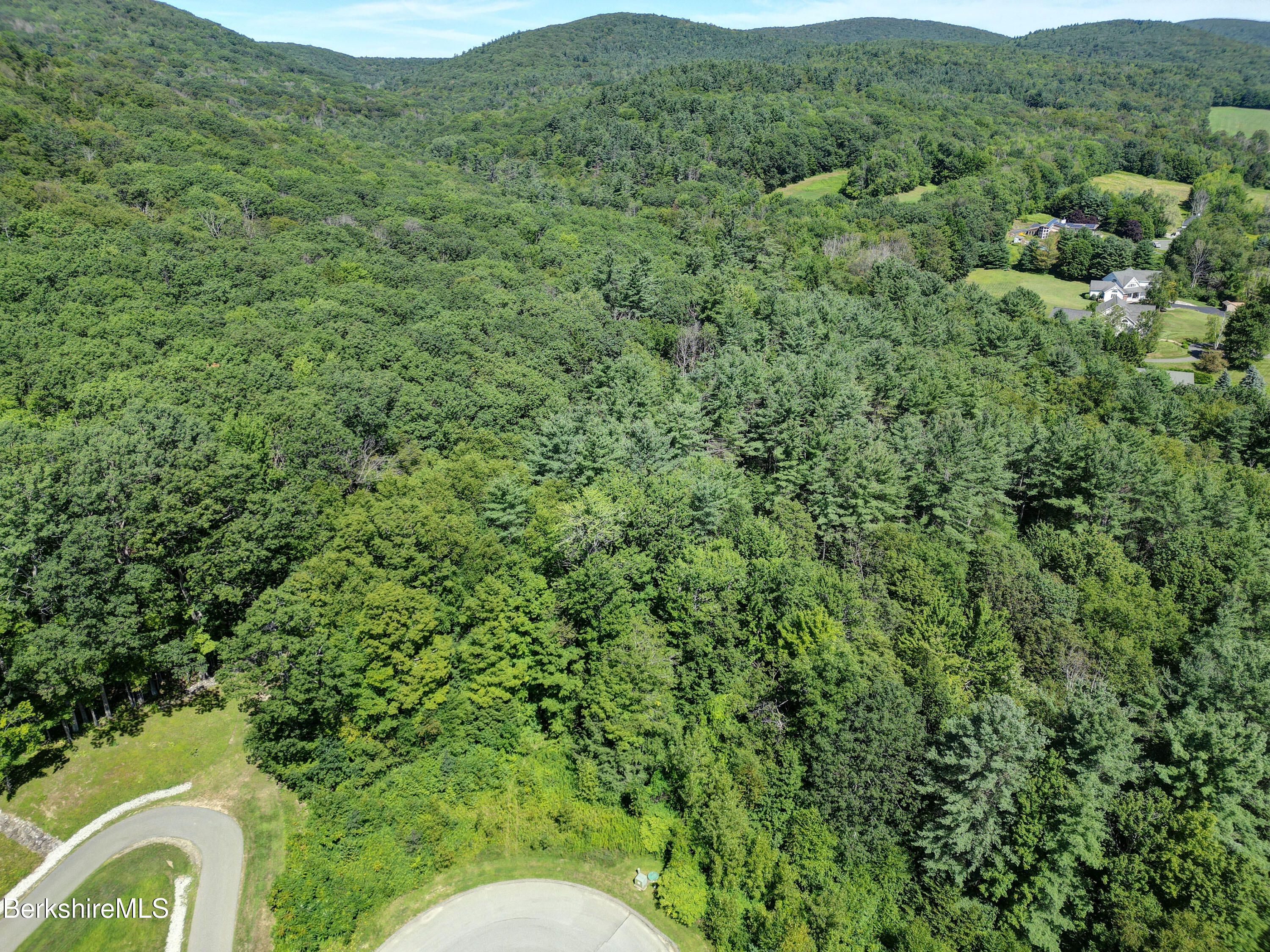 Lot #26 Old Farm Road Pittsfield, MA 01201 - Photo 3 of 8 a view of a forest with a street