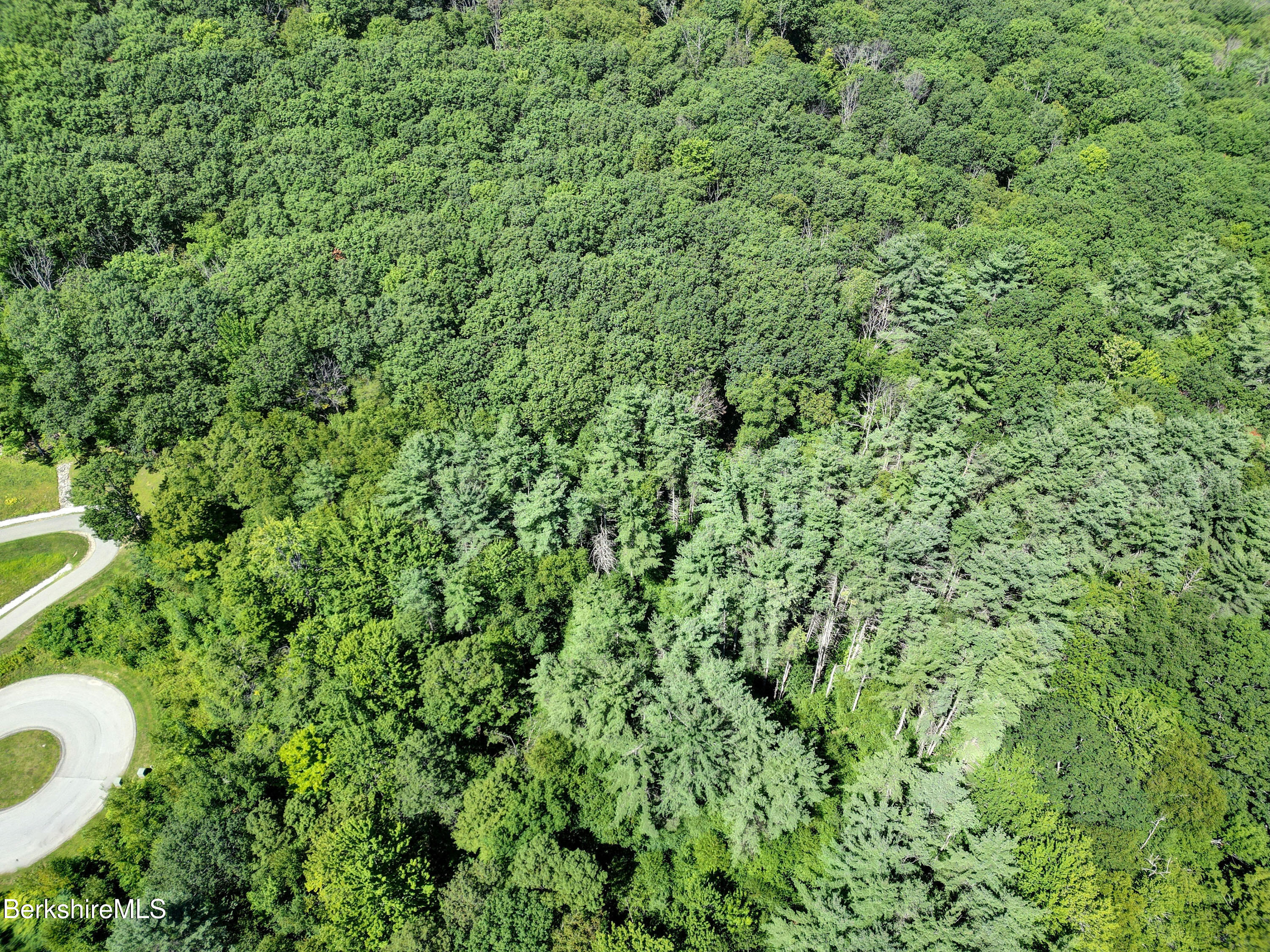 Lot #26 Old Farm Road Pittsfield, MA 01201 - Photo 5 of 8 a view of a forest with a sink