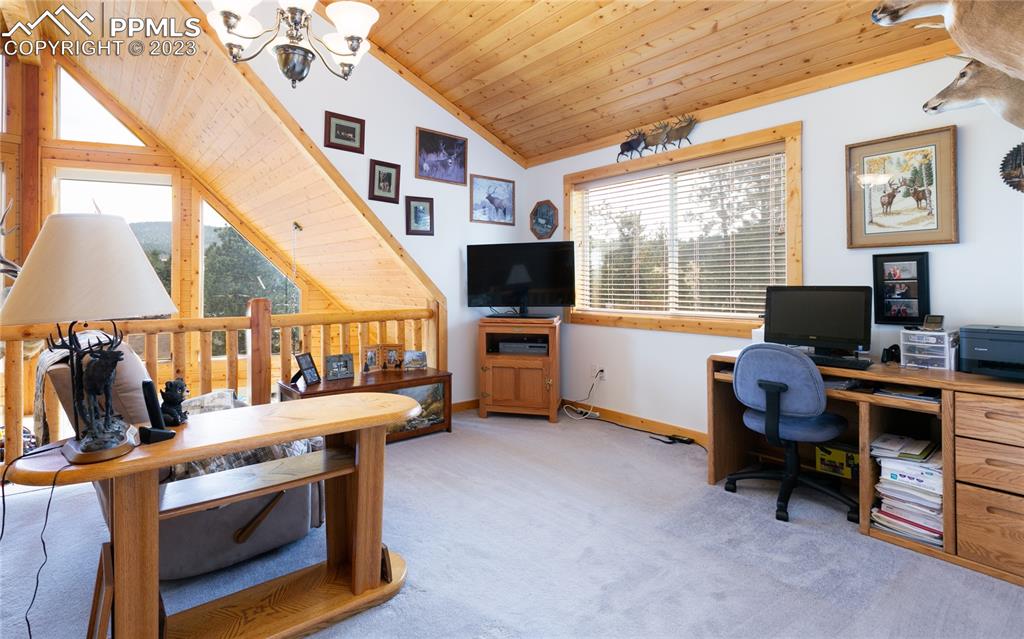 1321 Bristlecone Road Guffey, CO 80820 - Photo 14 of 37 a work room with furniture and a flat screen tv