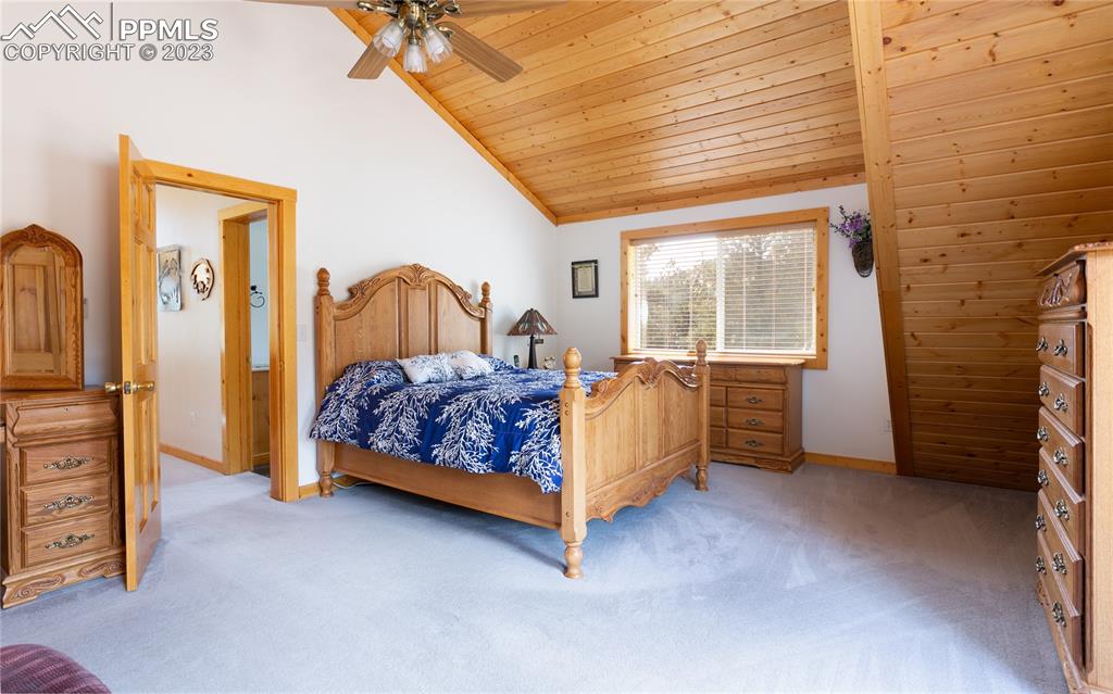 1321 Bristlecone Road Guffey, CO 80820 - Photo 16 of 37 a bed room with a bed and a chair