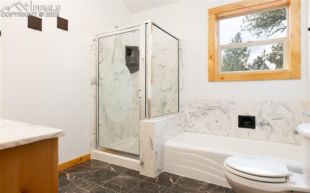 1321 Bristlecone Road Guffey, CO 80820 - Photo 17 of 37 a bathroom with a toilet and a shower