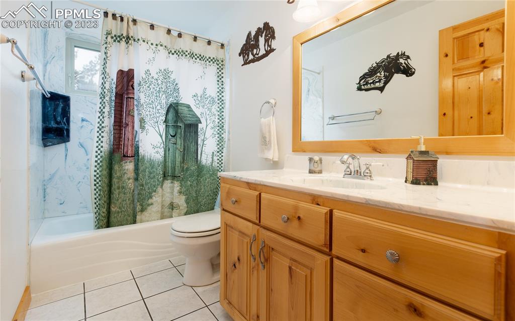 1321 Bristlecone Road Guffey, CO 80820 - Photo 21 of 37 a bathroom with a sink a toilet and shower