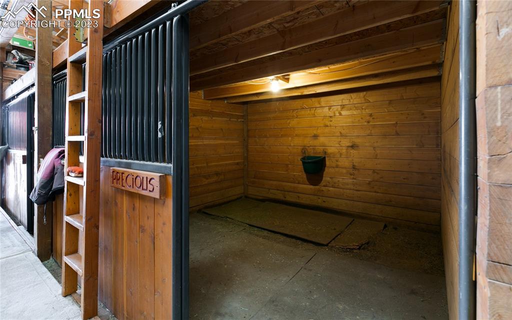 1321 Bristlecone Road Guffey, CO 80820 - Photo 31 of 37 a bathroom with a shower