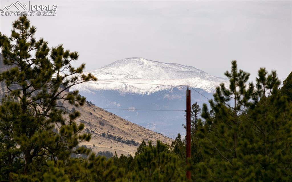 1321 Bristlecone Road Guffey, CO 80820 - Photo 37 of 37 a view of a tree in a yard