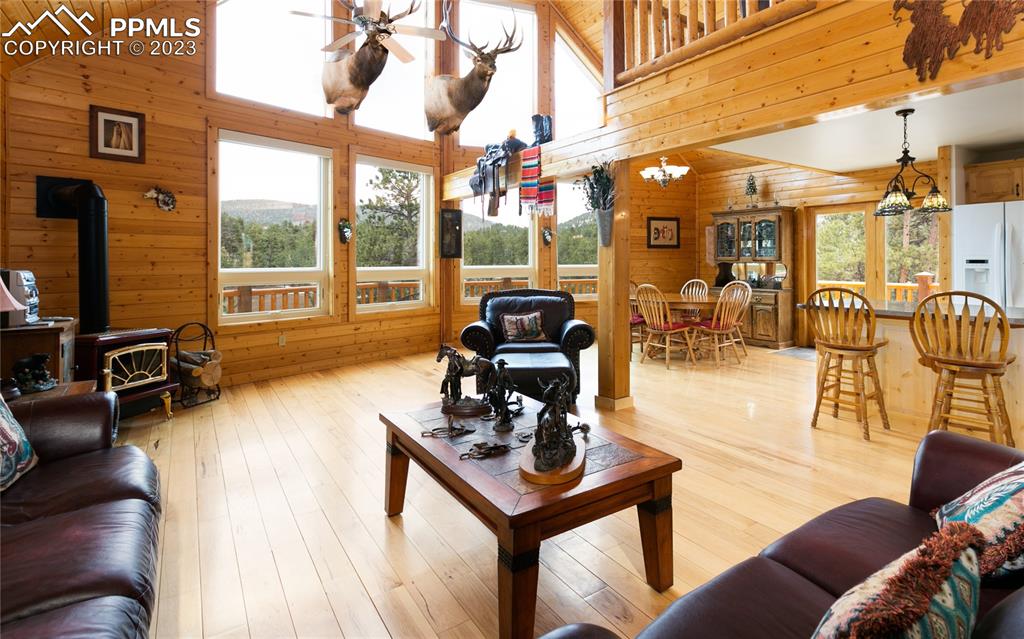 1321 Bristlecone Road Guffey, CO 80820 - Photo 6 of 37 a living room with furniture a couch and large windows