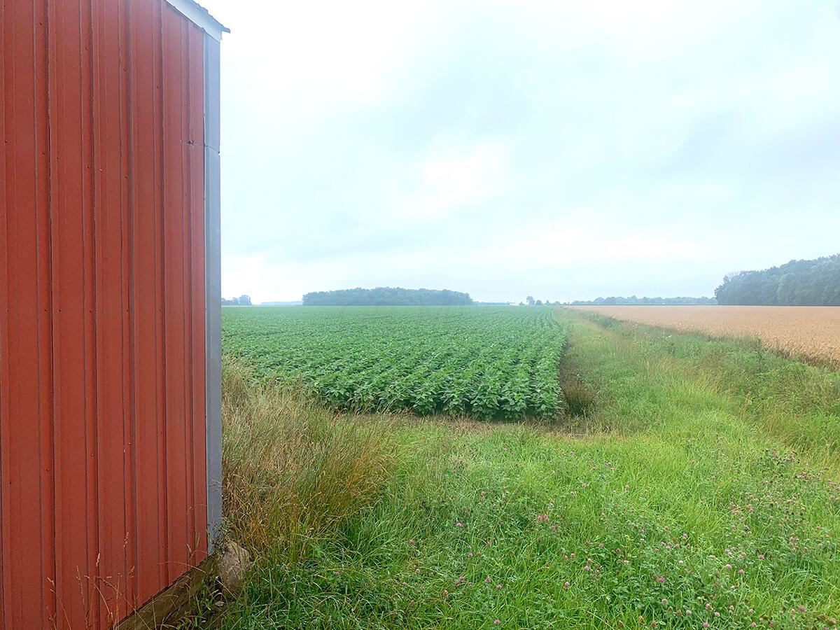 0 Five Point Road Perrysburg, OH 43551 - Photo 11 of 12
