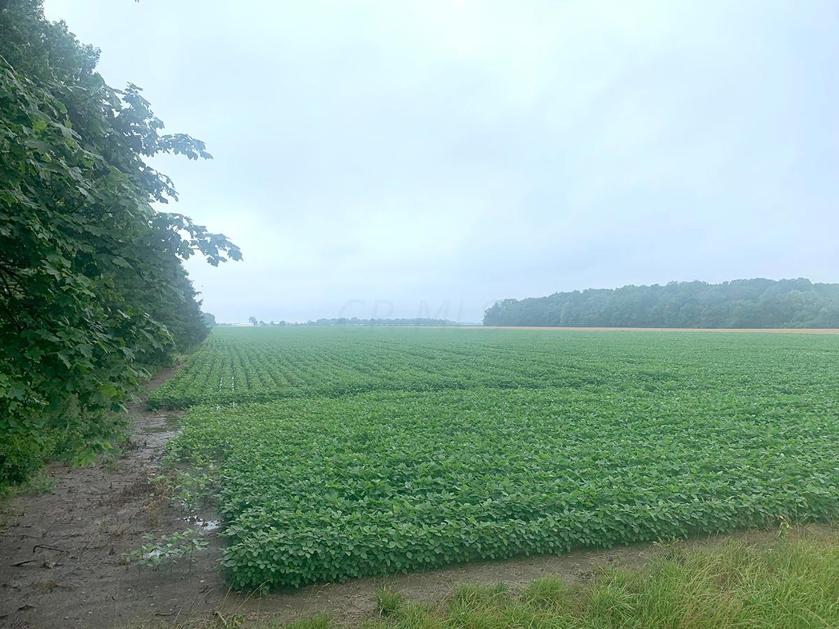 0 Five Point Road Perrysburg, OH 43551 - Photo 7 of 12