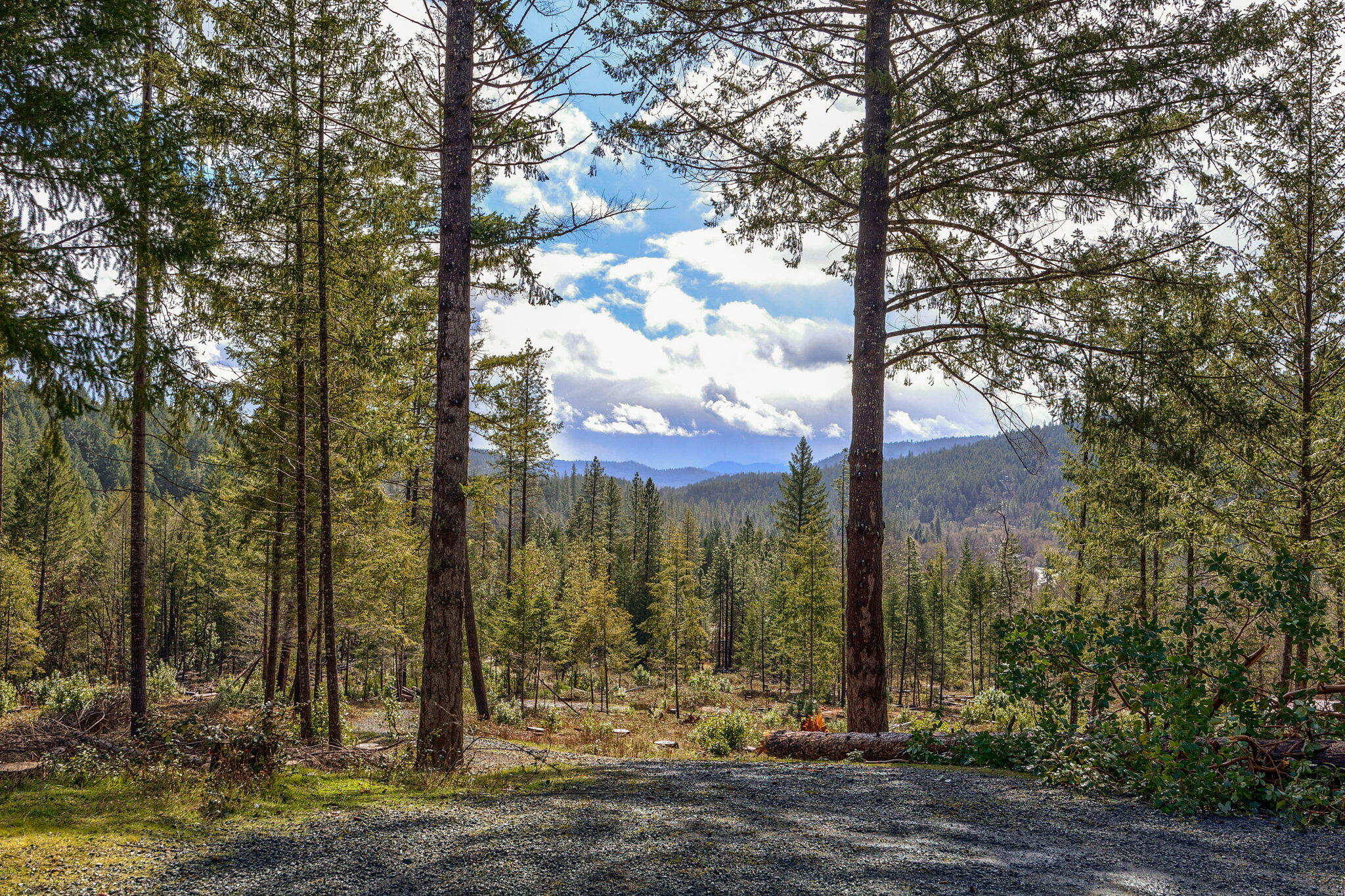 200 Hog Creek Road Merlin, OR 97532 - Photo 18 of 26 7-web-or-mls-HCR (7)